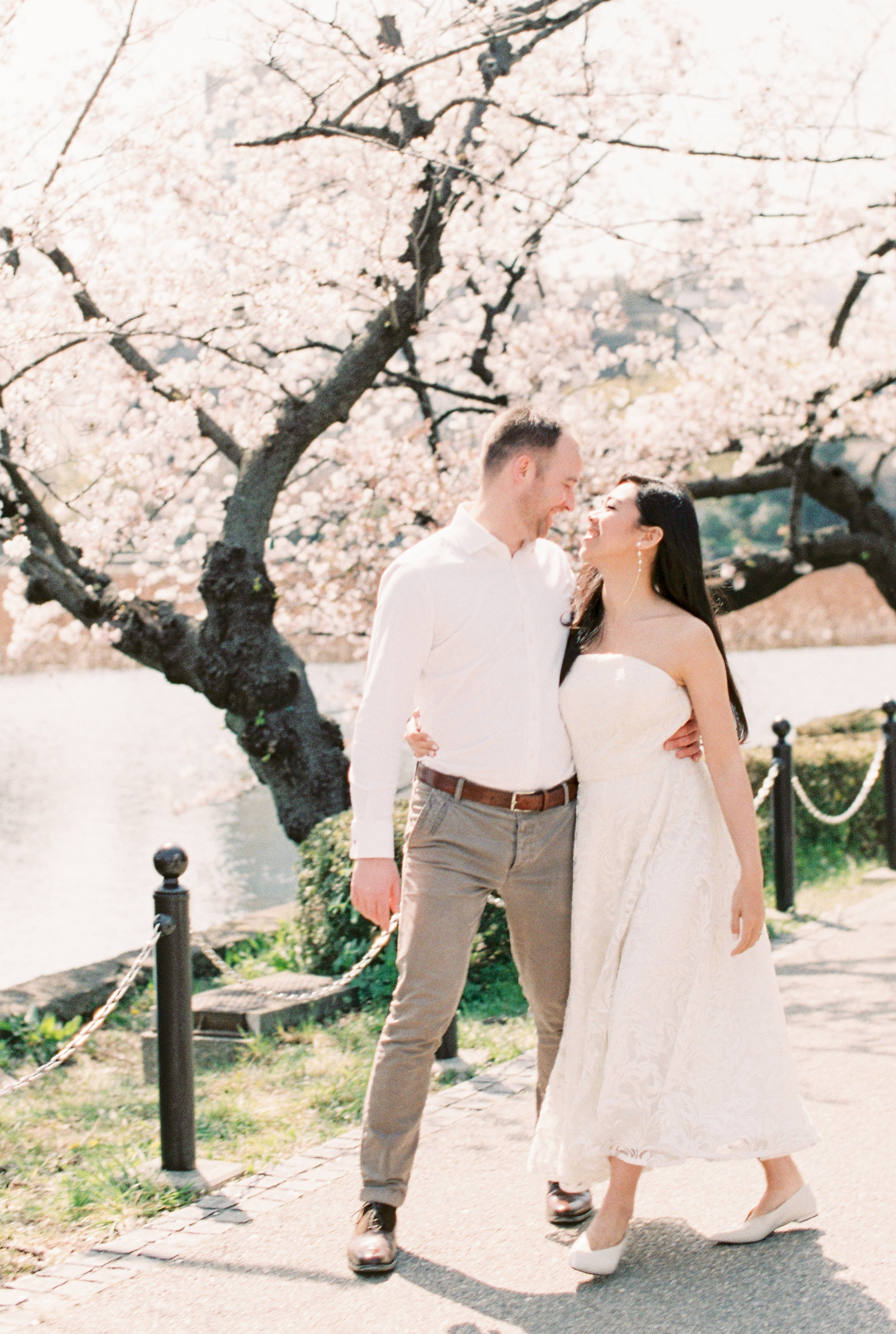 C &amp; T ~ Cherry Blossom in Tokyo, Japan