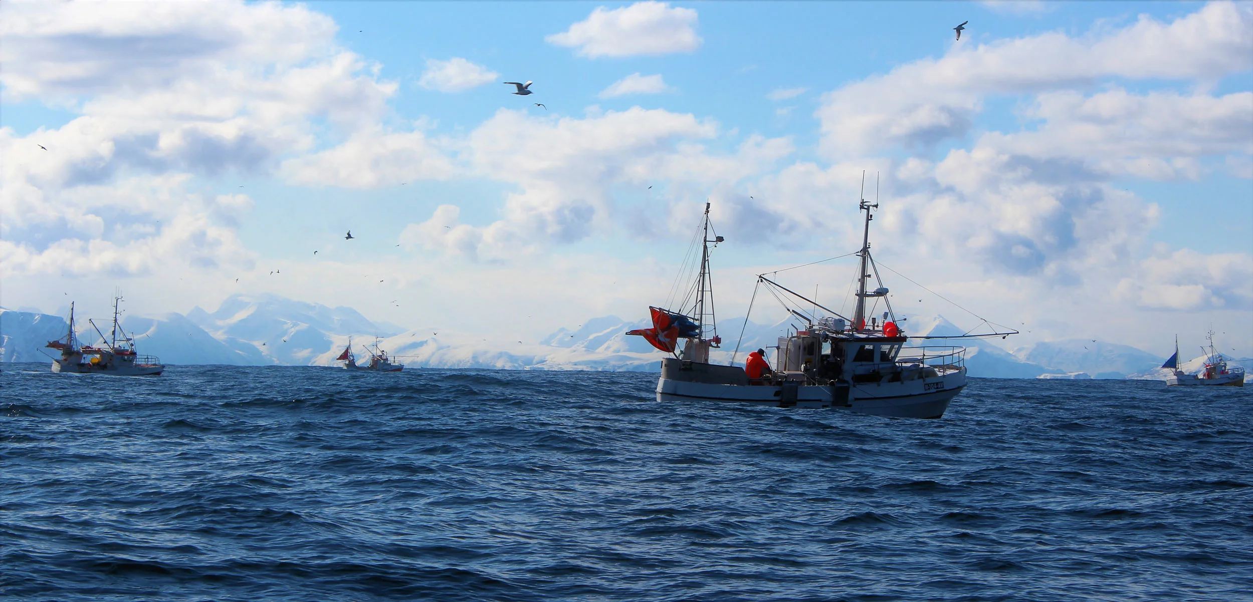 fiskebåt_web.jpg