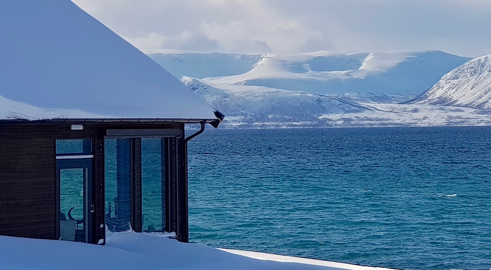 20180331_152008.jpg