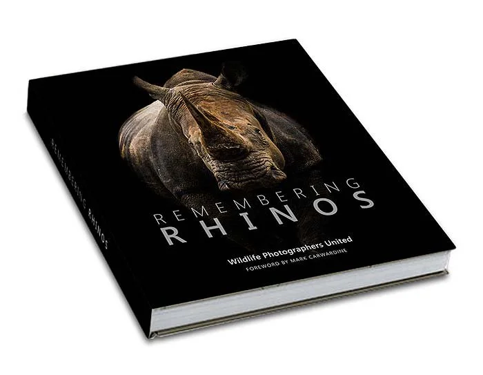 remembering rhinos.jpg