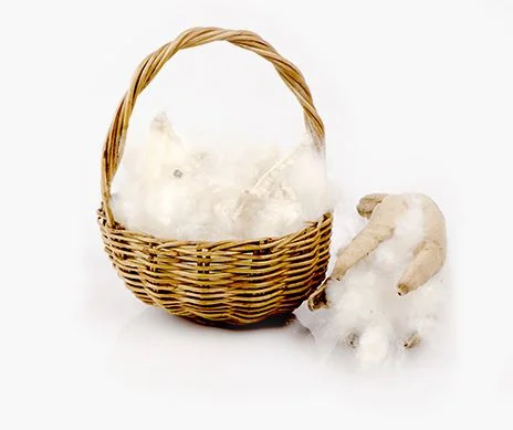 Kapok is eight times lighter than cotton. Picture: Kapok.