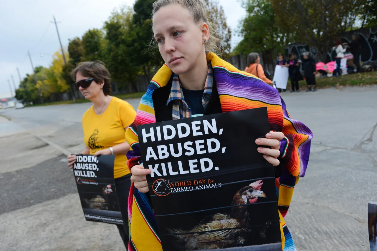 Activists demonstrate during an all day vigil outside of Maple Leaf Poultry in Toronto, as part of Farm Animal Rights Movement’s World Day for Farmed Animals. Picture: Jo-Anne McArthur, We Animals.