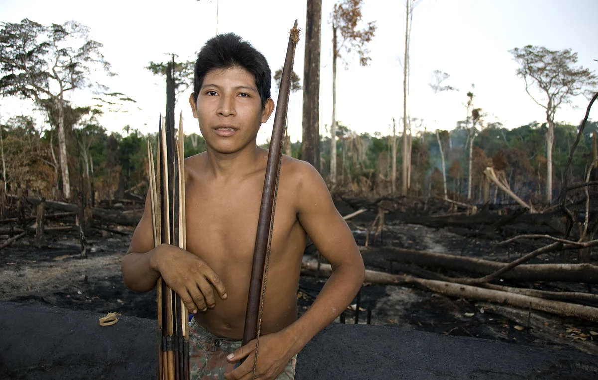 Many indigenous territories in Brazil have been burned by farmers and loggers for years, though 2019s fires are especially bad. Awá man Hemokomaá stands in his peoples forest after it was burned in 2010. © Fiona Watson/Survival