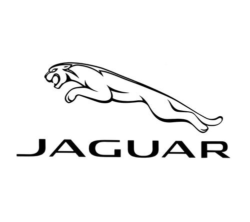 Jaguar+copy.jpg