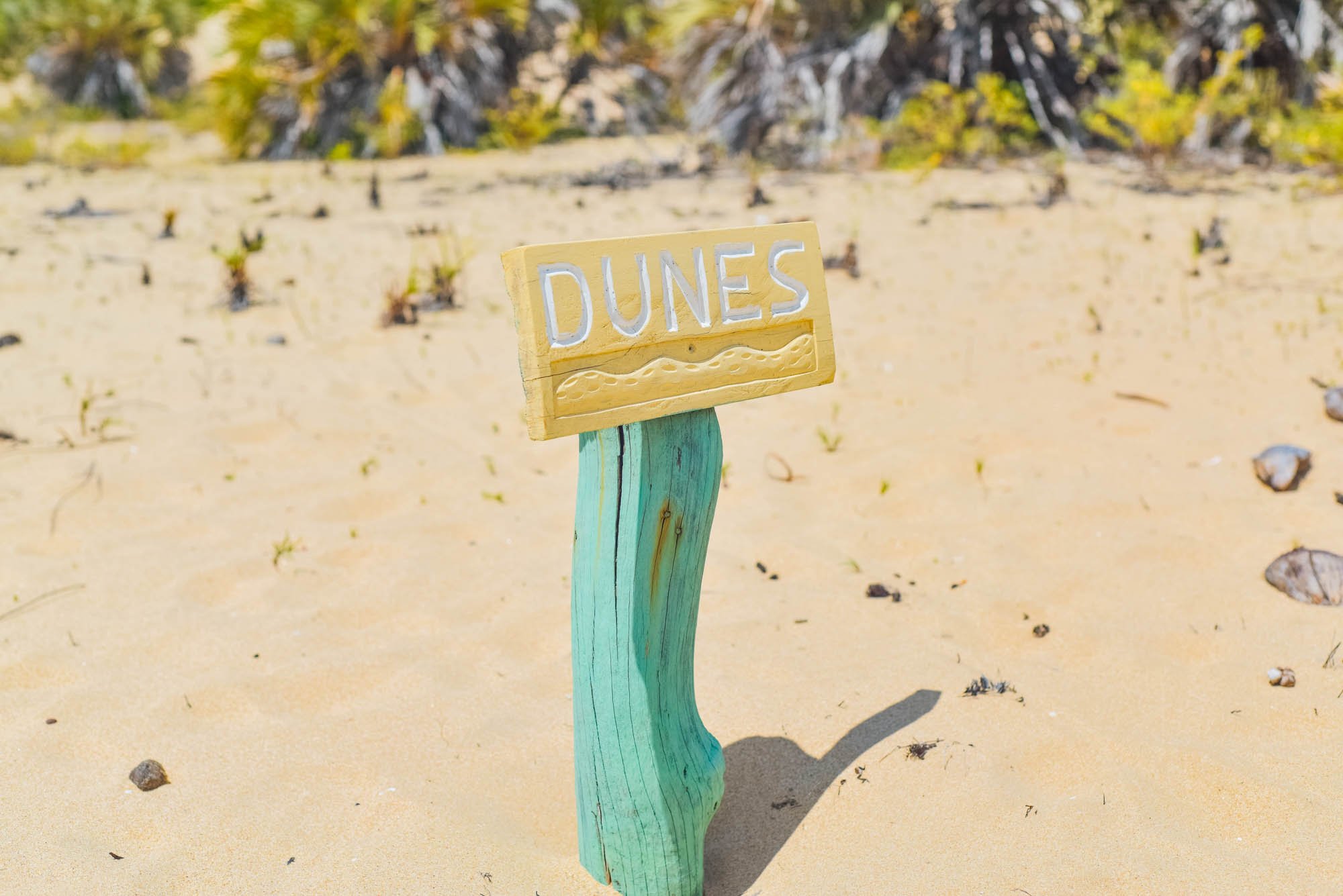 Dunes Banda