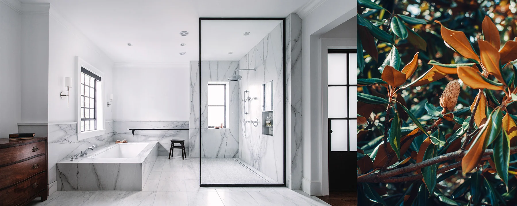 Website Banner 01 20190125.jpg