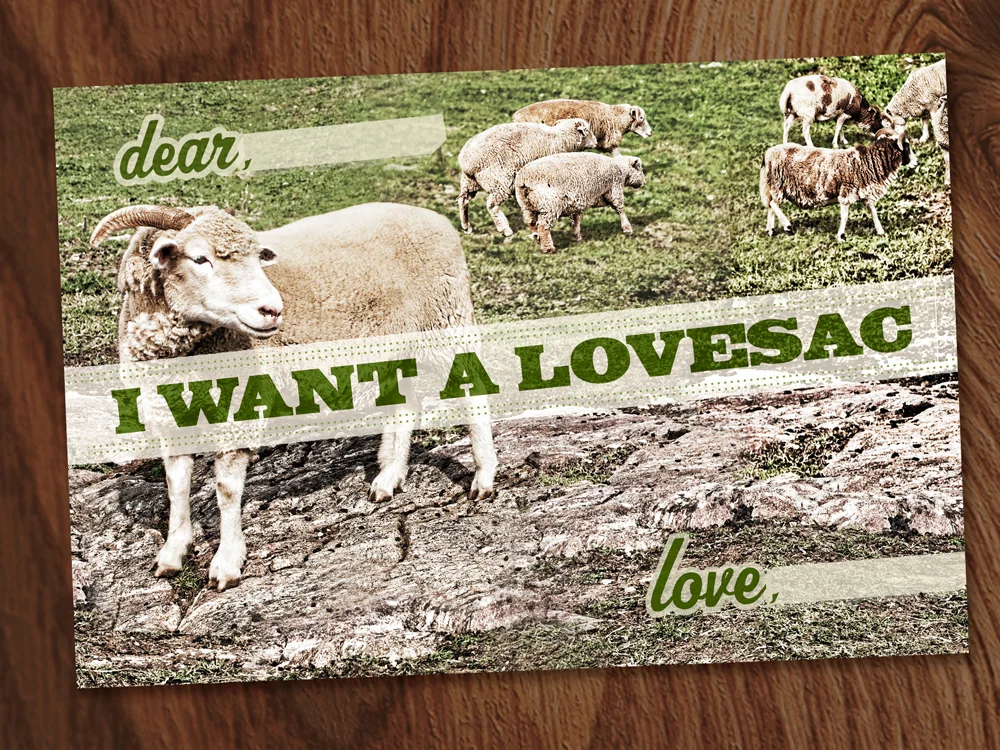 SheepSkin_Card_Front.jpg