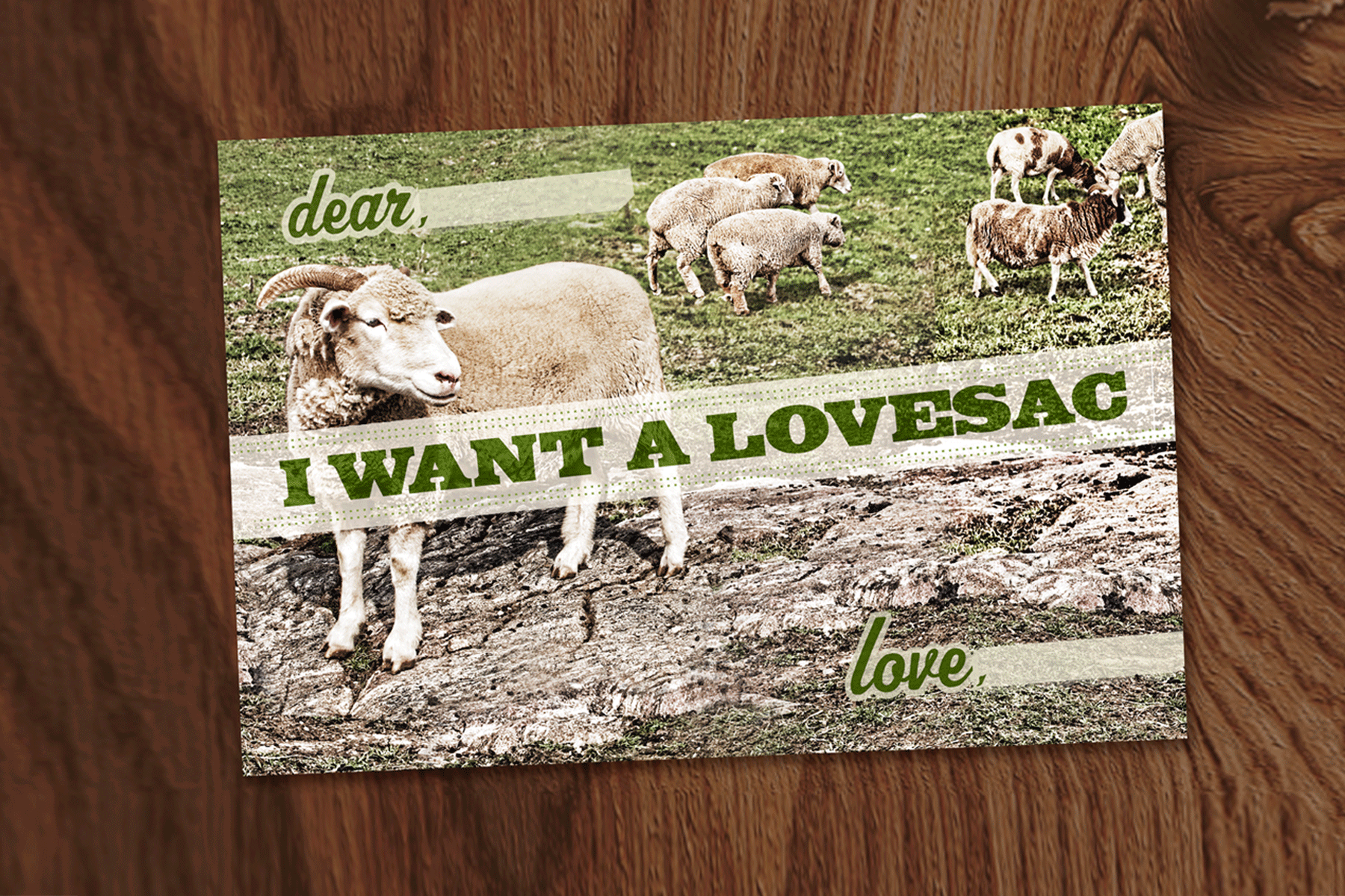 ls-sheep-card.gif