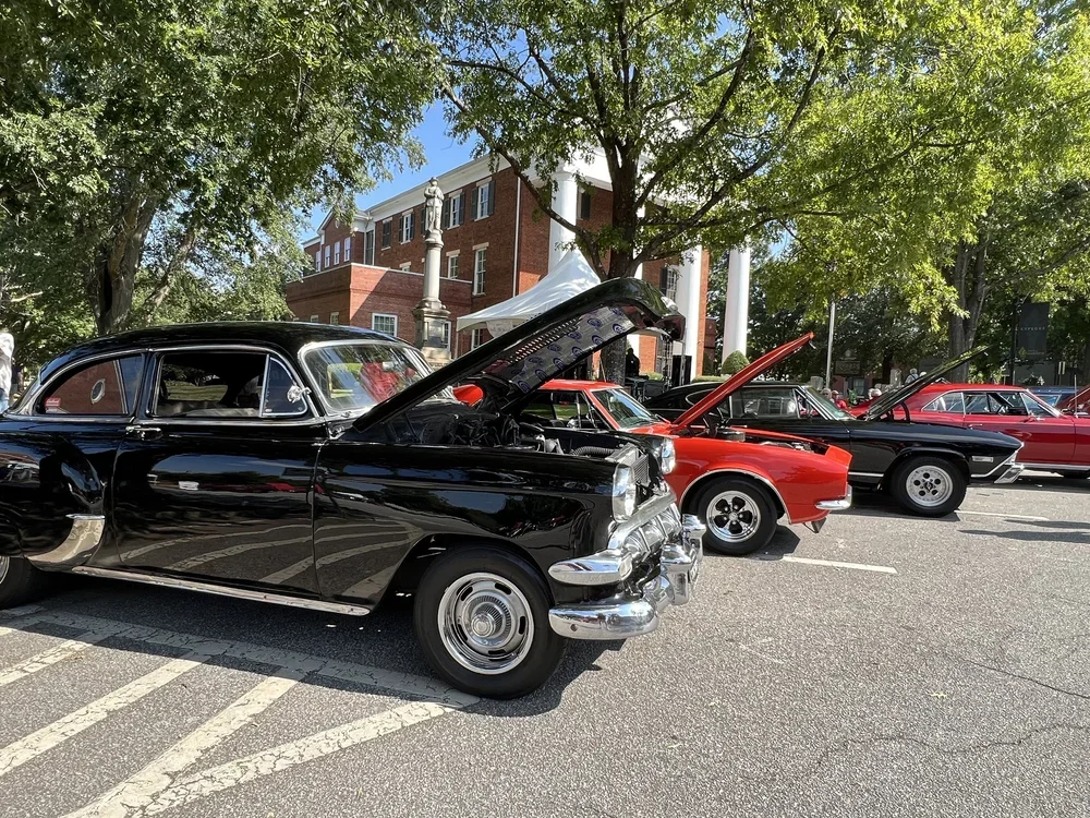 Rock N' Roll Cruise In