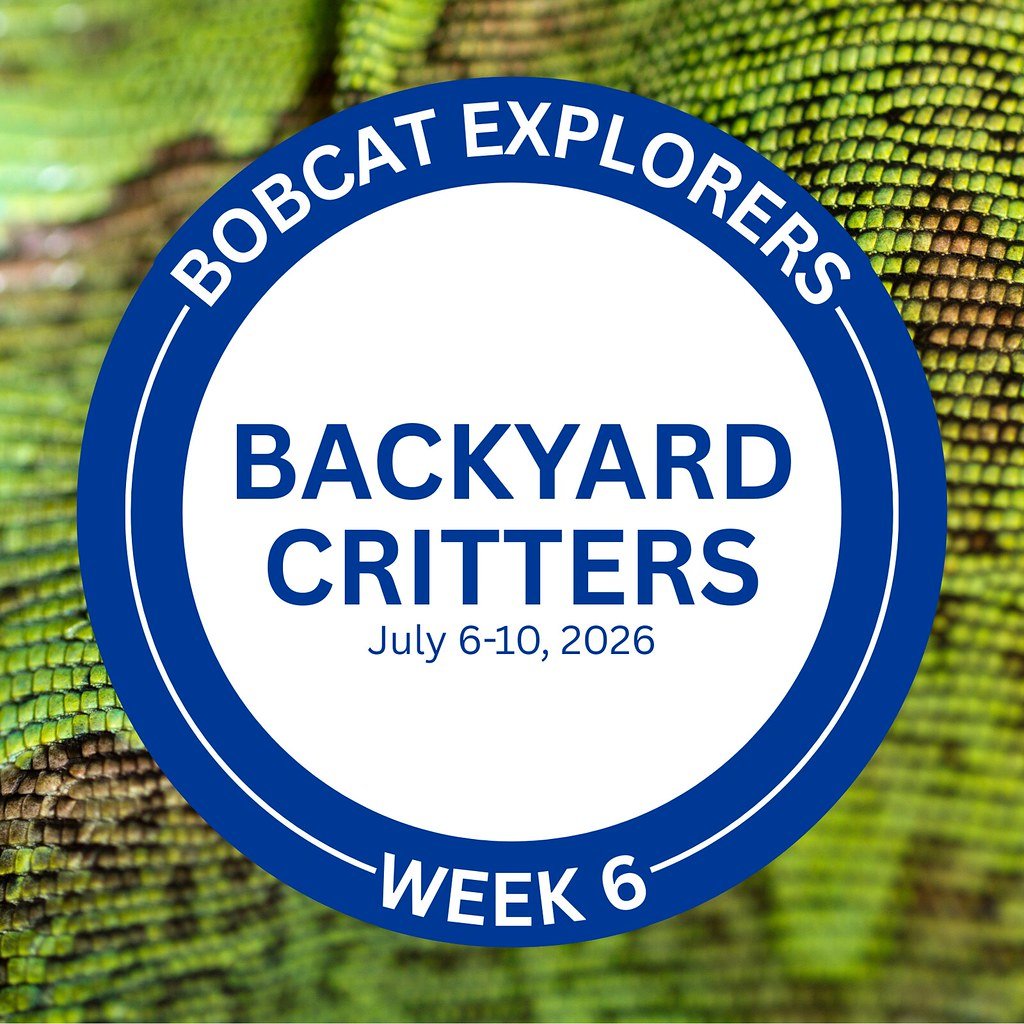 Bobcat Explorers Summer Camp: Backyard Critters