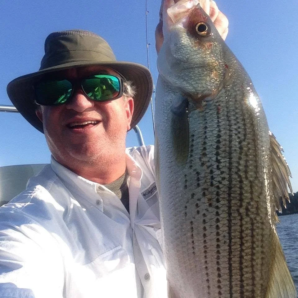 Oconee On The Fly