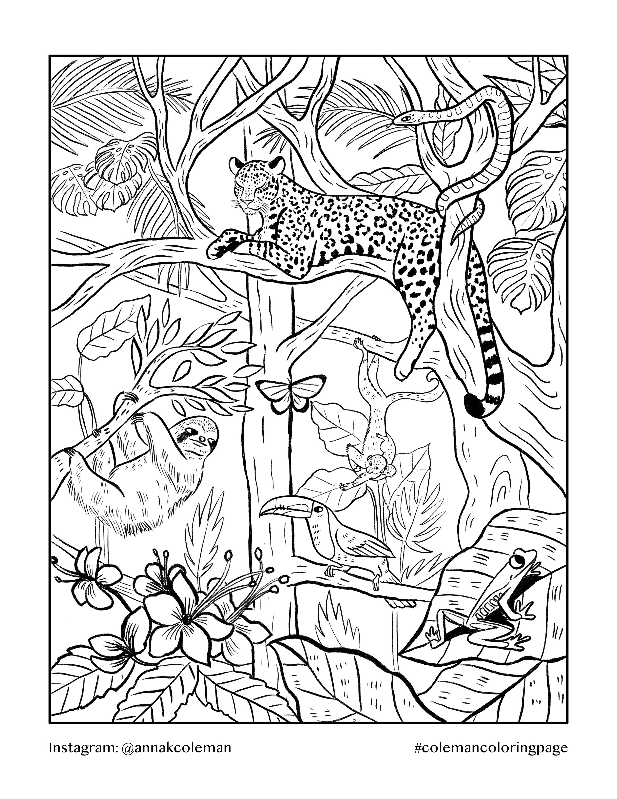 Printable Coloring Pages — Anna Coleman