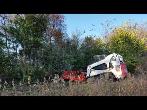 Bobcat t300 and mtl mower mulching