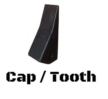cap-tooth.jpg