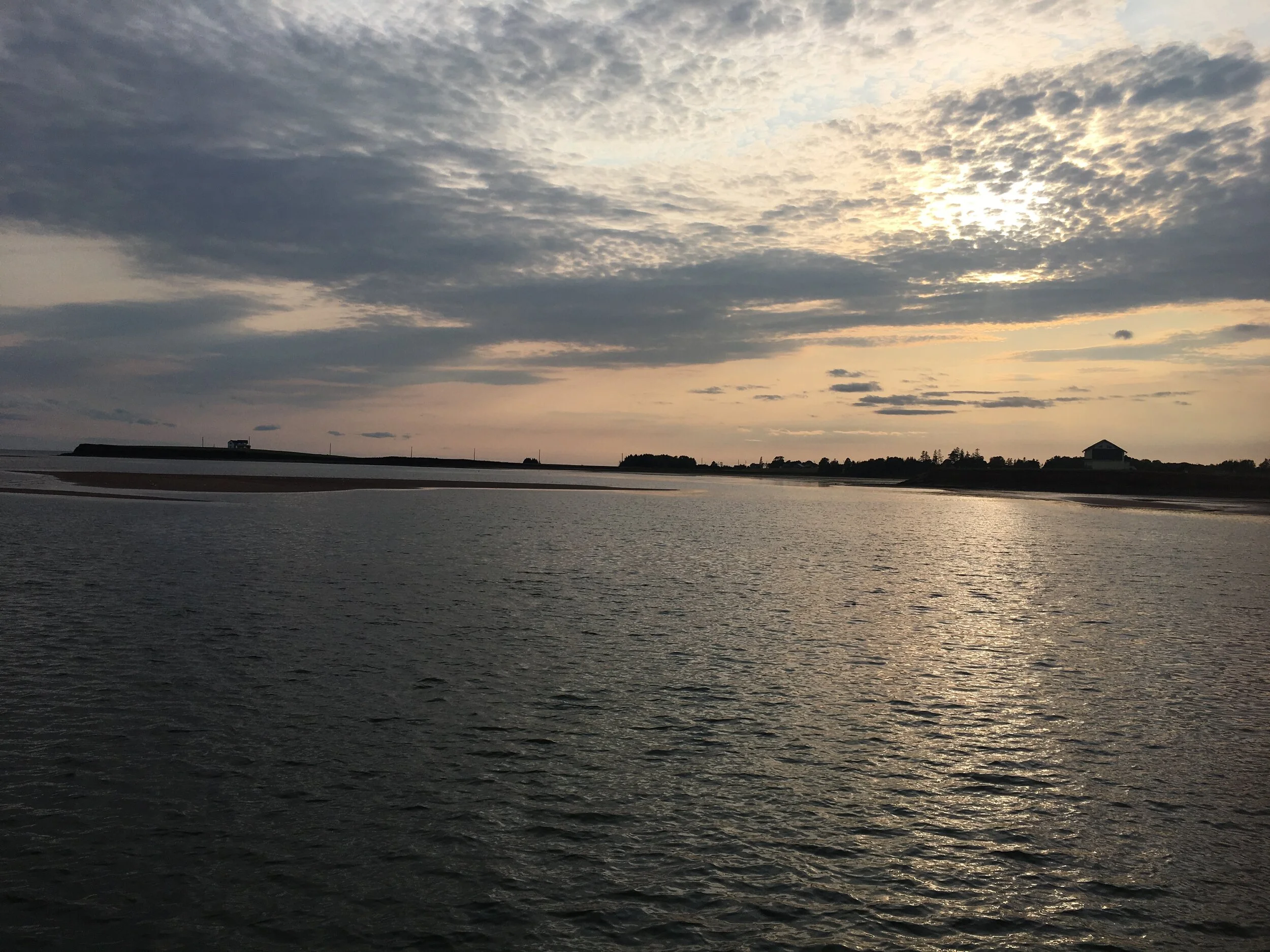 In 2021 what will you Start, Stop, Continue?