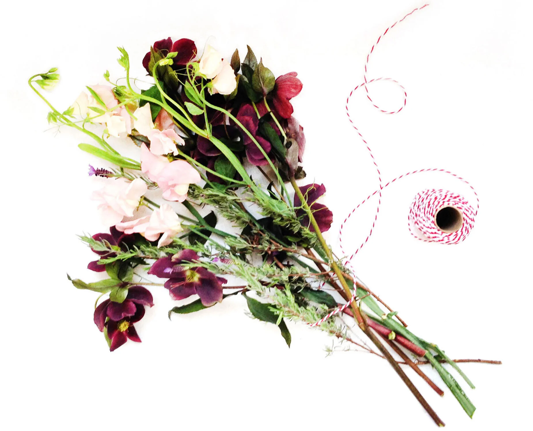 blooms.jpg