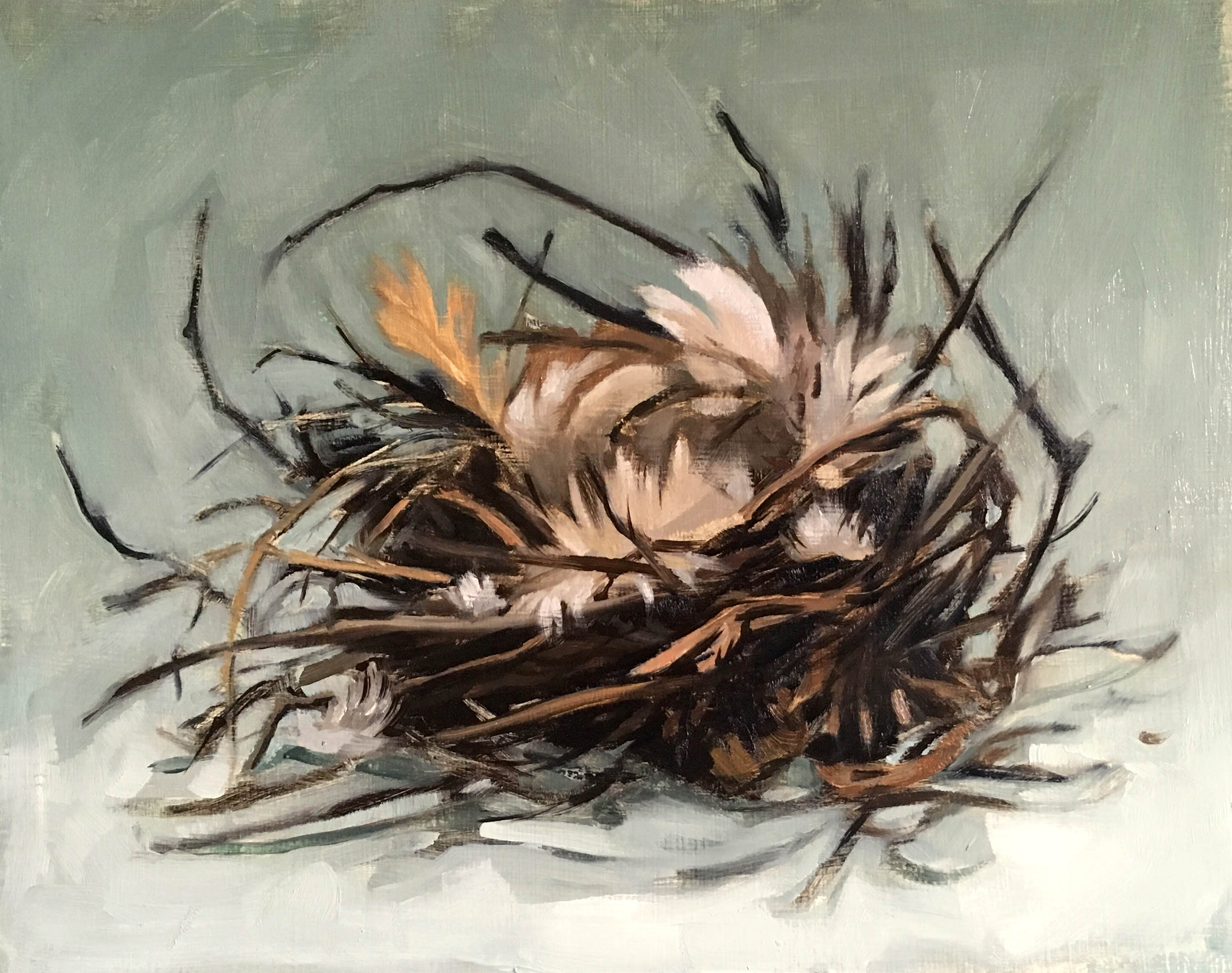 Nest