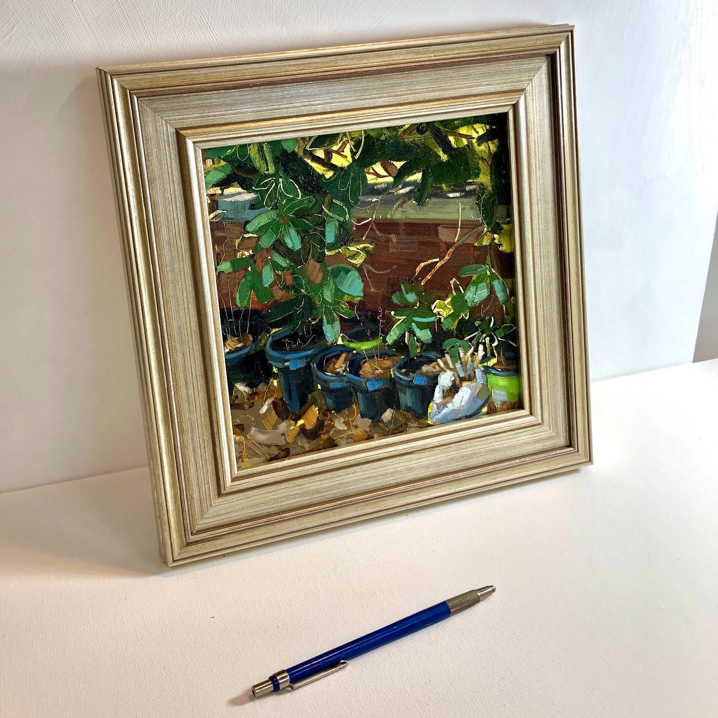 1BD888D0-504F-43E2-9FBC-28875AE616B4