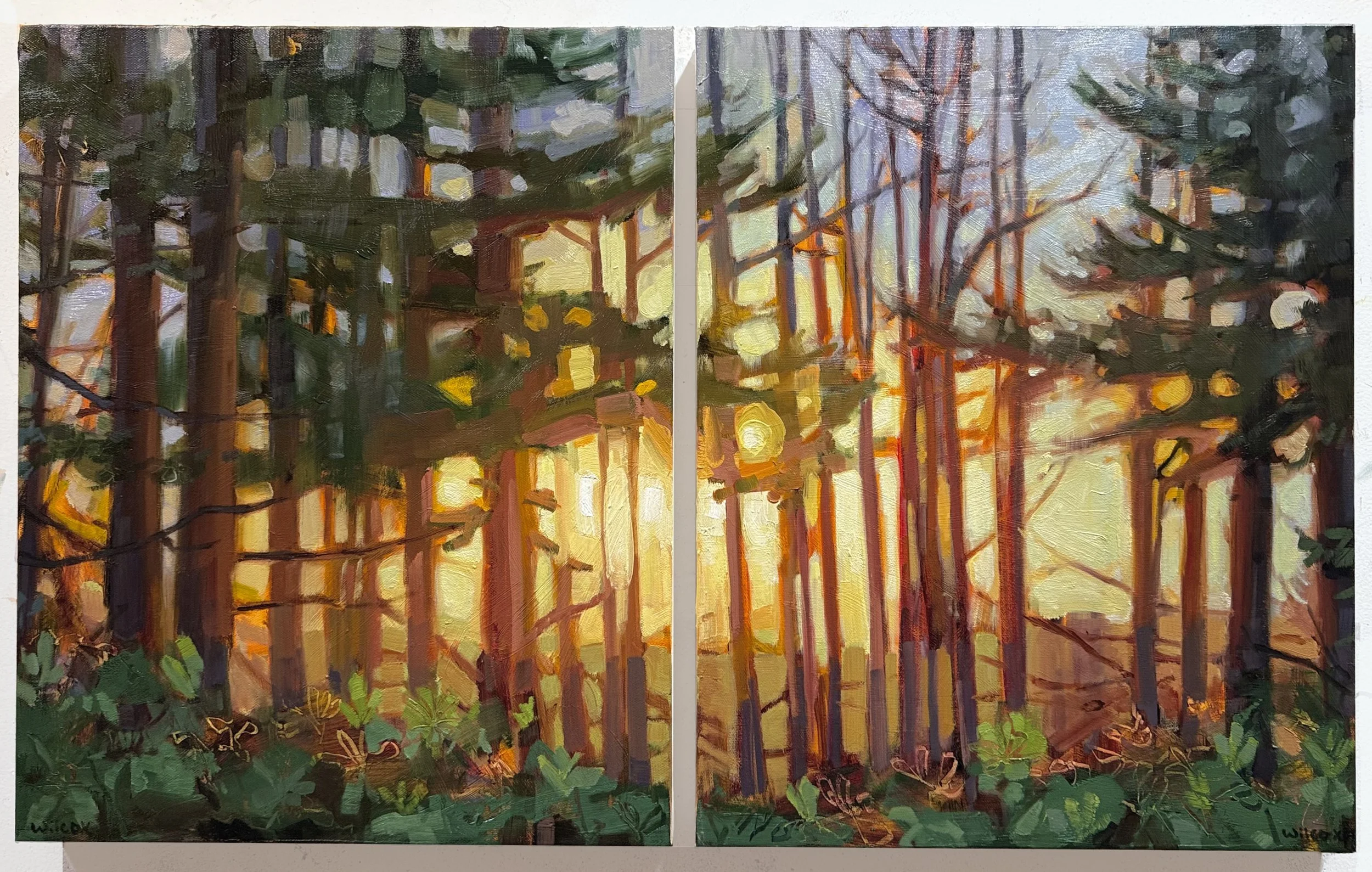 Woodland Glow, 1 & 2