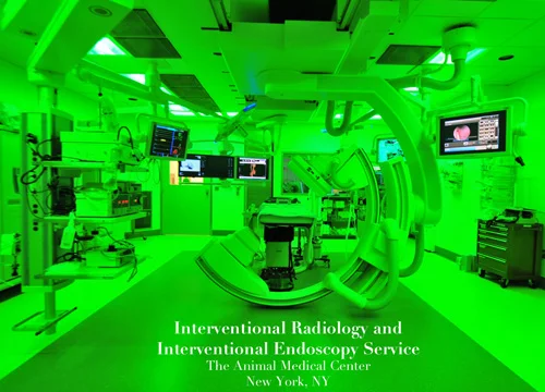 IR-ROOM-GREEN-LARGE.jpg