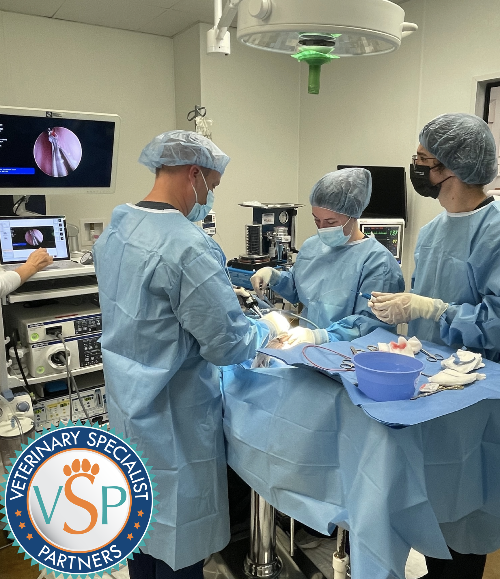 Facilities — American Society of Veterinary Nephrology and Urology