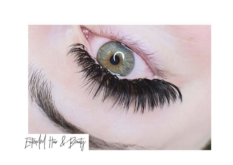 Mega Volume Lashes