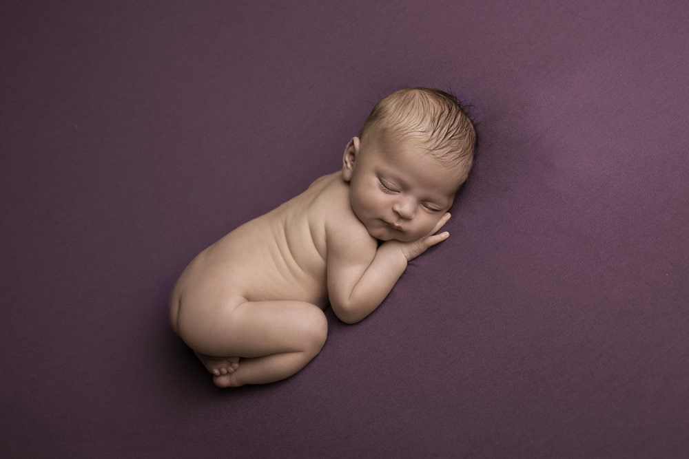 Purple. Home studio, Emily Miller Photography, Chelsfield, Orpington, London Borough of Bromley BR6