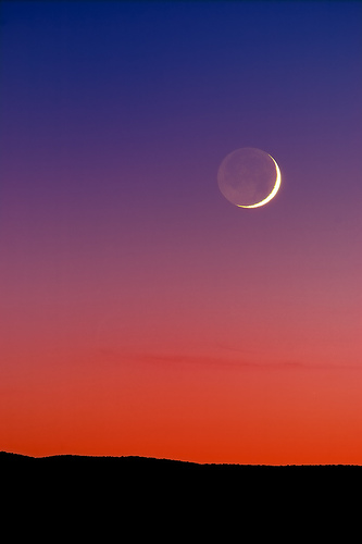 moon.jpg