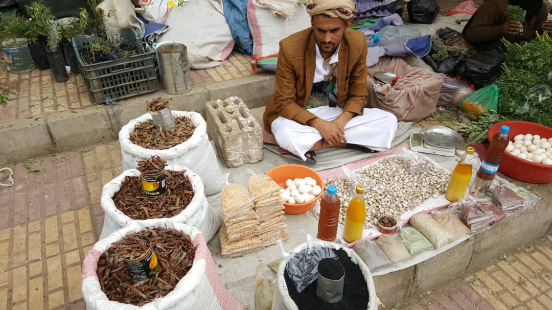 A spice vendor sits next to three sacks of dried locusts outside the main gate of Old City of Sanaa. Photo by Yemeni contributor.