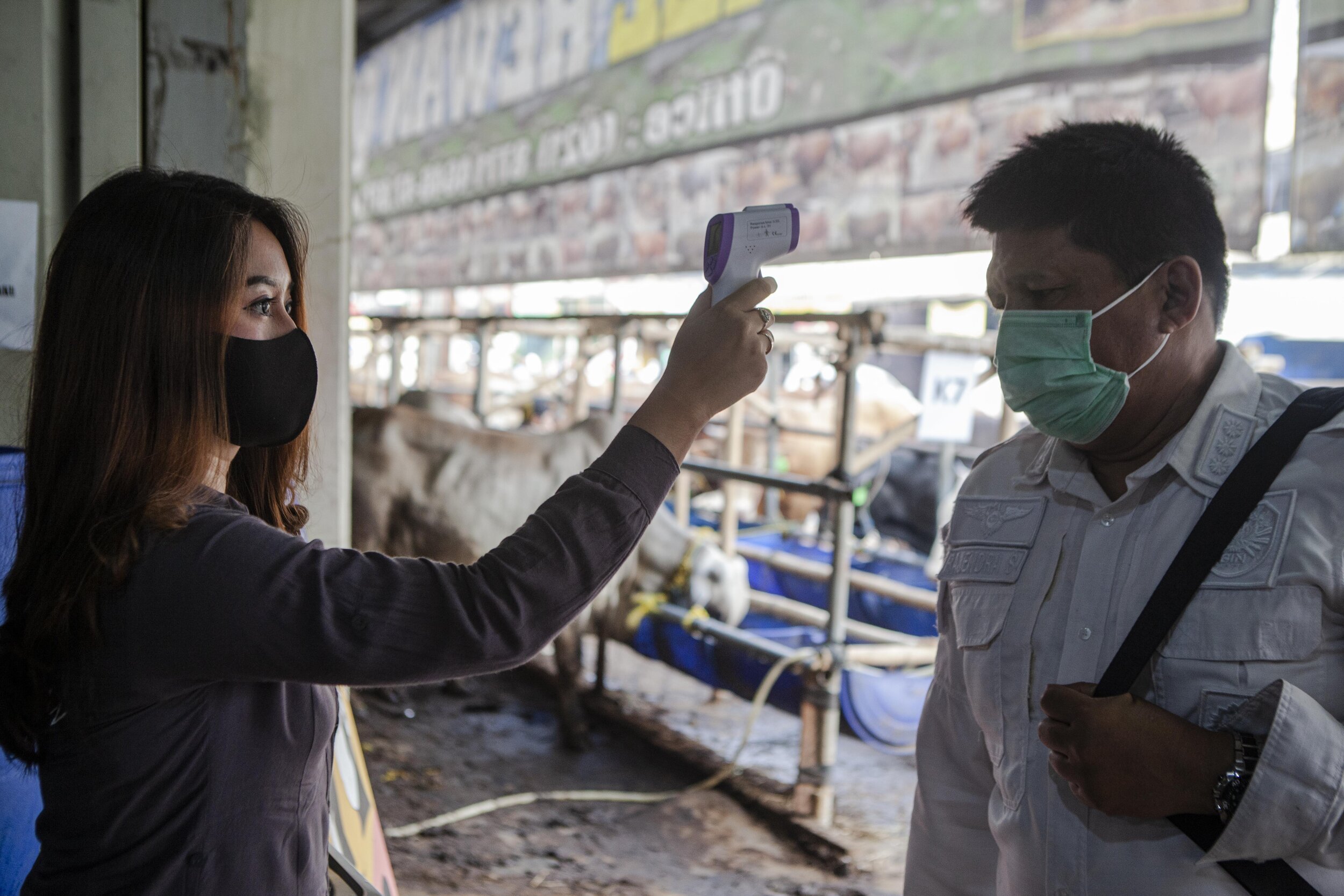  A sales clerk checks a visitor’s body temperature using a thermal gun at a livestock market. Photo by Agoes Rudianto. 