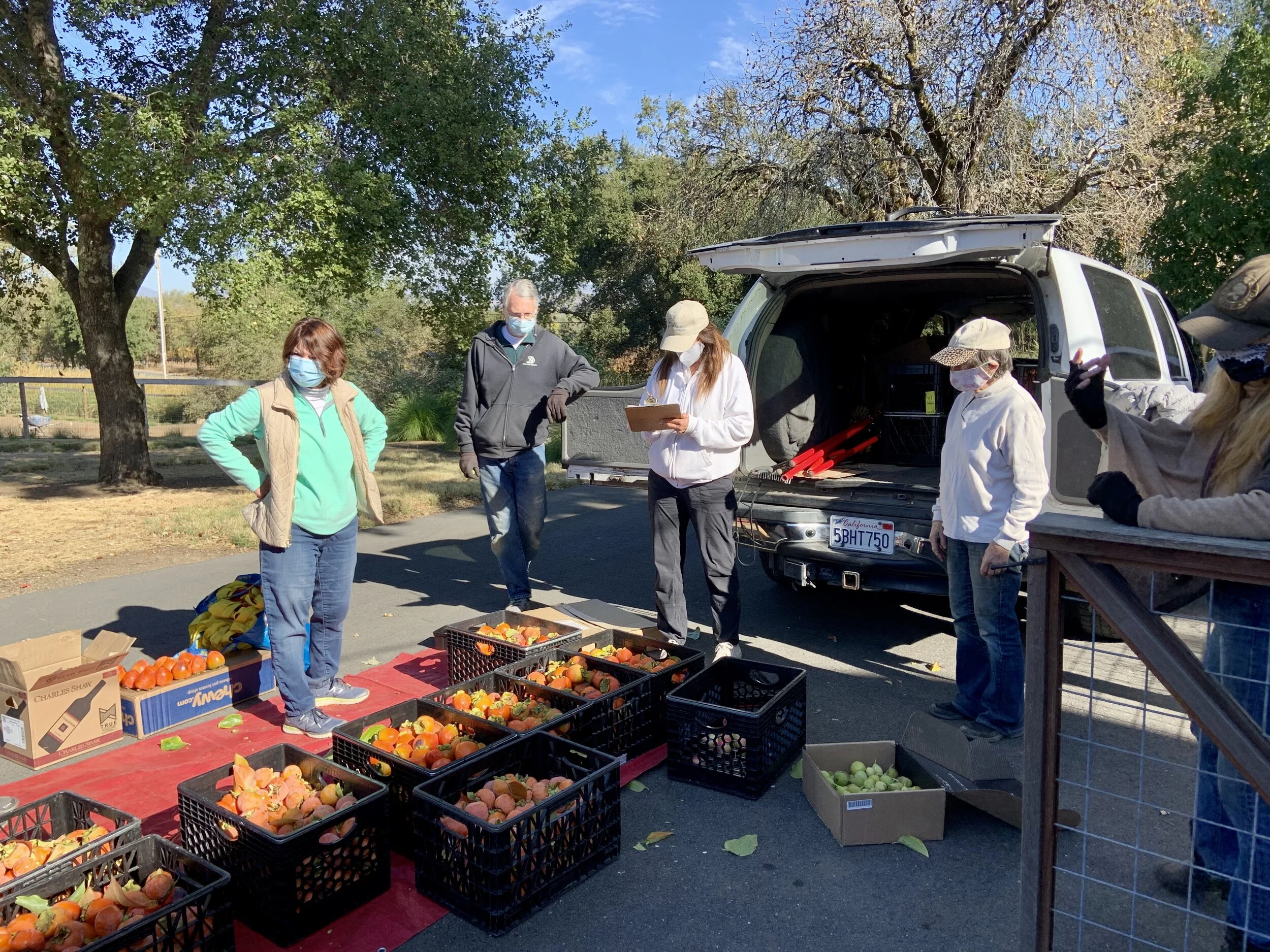 'Gleaners' fulfill spiritual commands to feed the hungry, reduce food waste