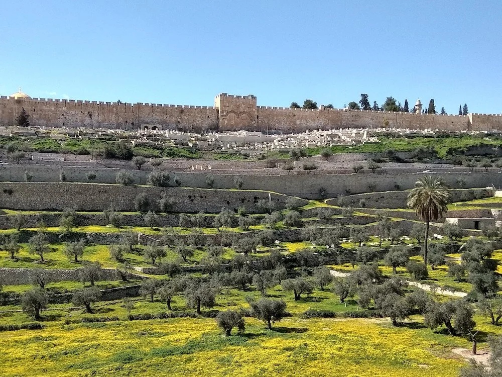 Israel Freezes Plan To Expropriate Church Lands At The Mount Of Olives To Expand National Park