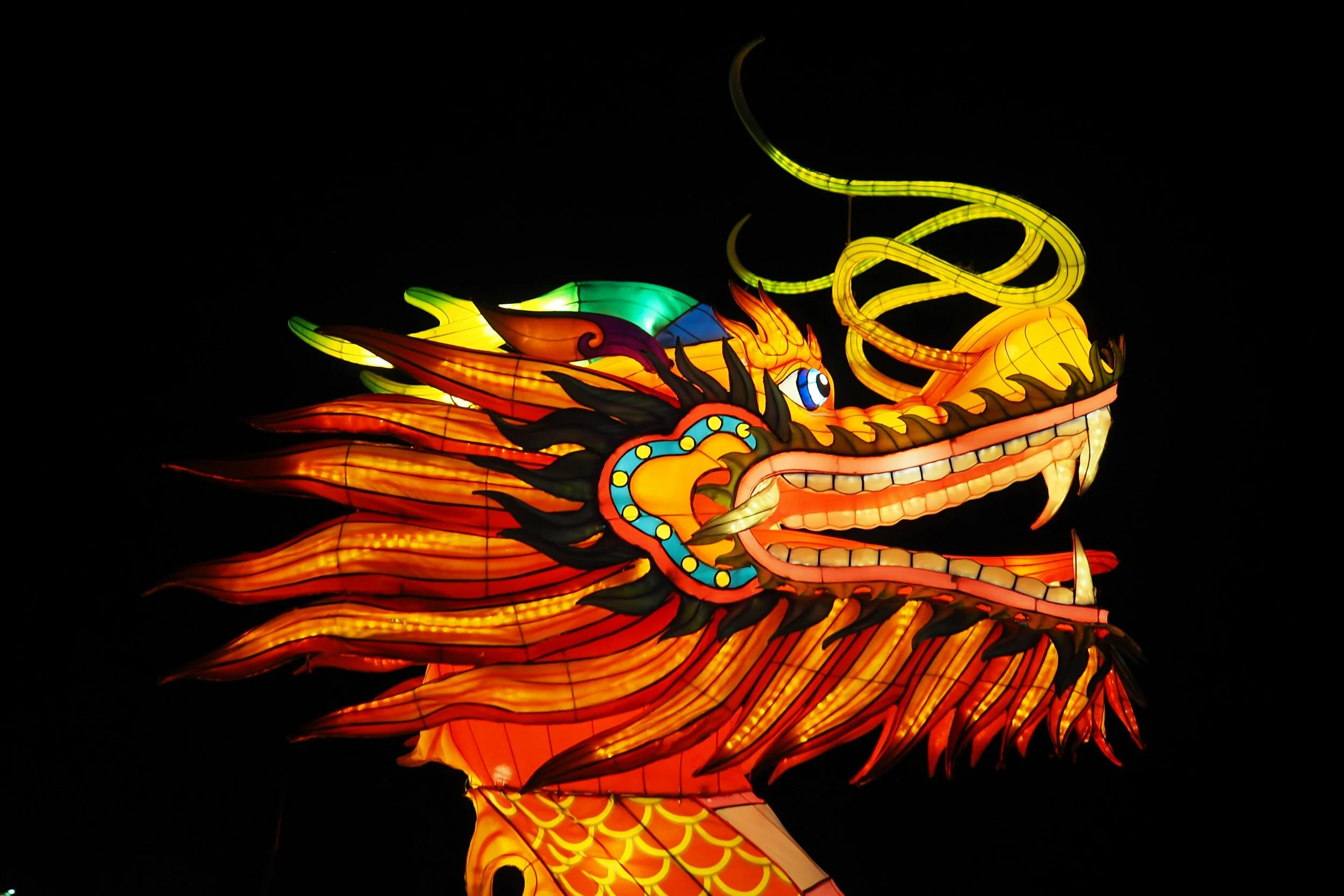 It’s The Year Of The Dragon: Expect Good Fortune, Wisdom And Success