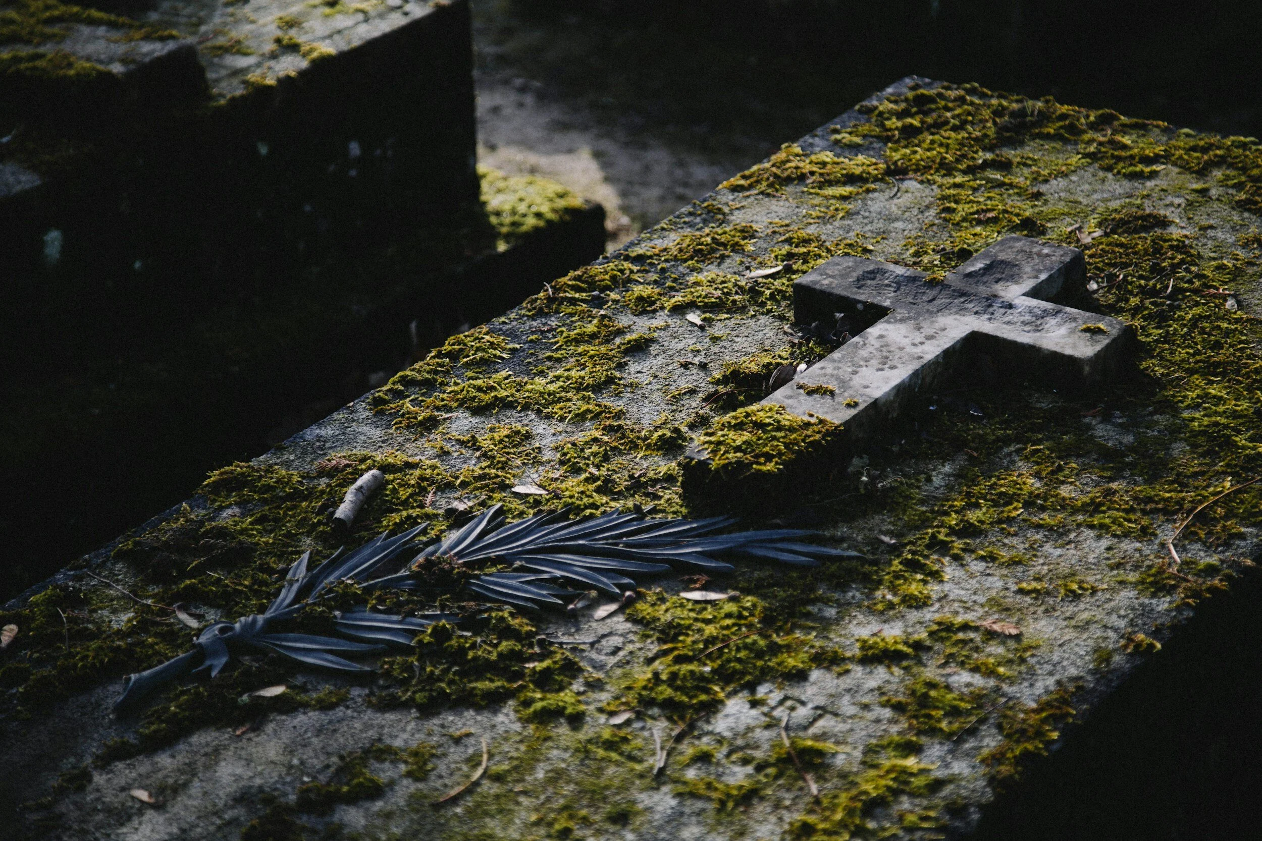 Nothing Lasts, And Yet No One Who’s Loved Really Dies