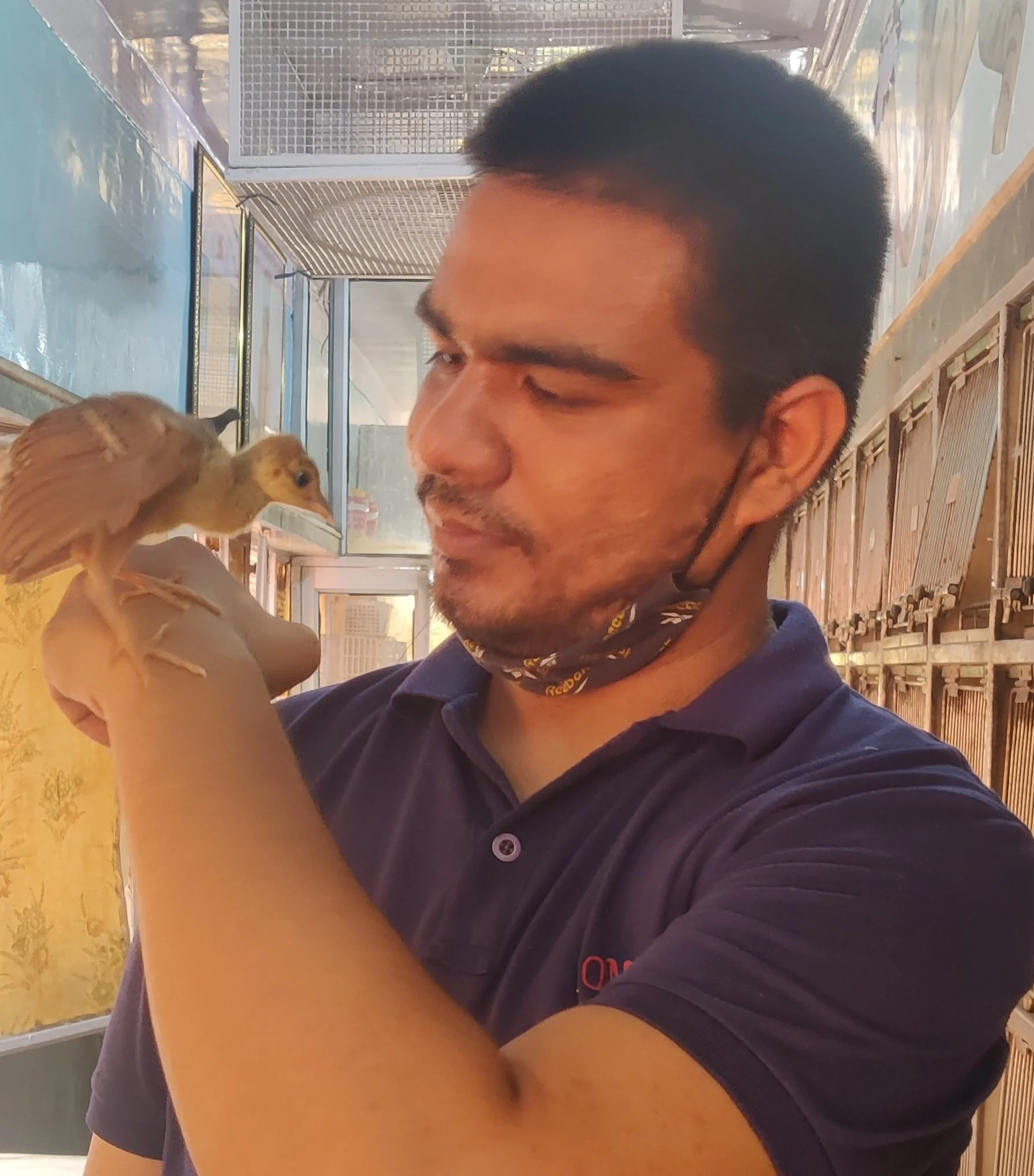 Delhi’s Jain Birds Hospital: A Century of Caring Amid Climate Challenges