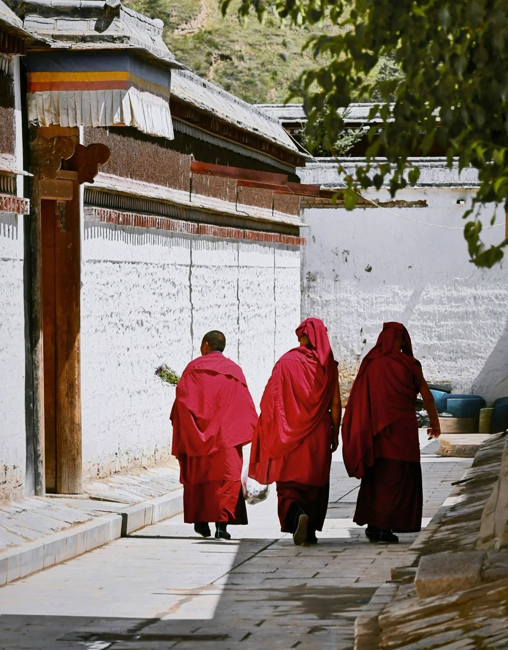 Why The Dalai Lama Helped Tibetan Buddhist Nuns Get Advanced Degrees