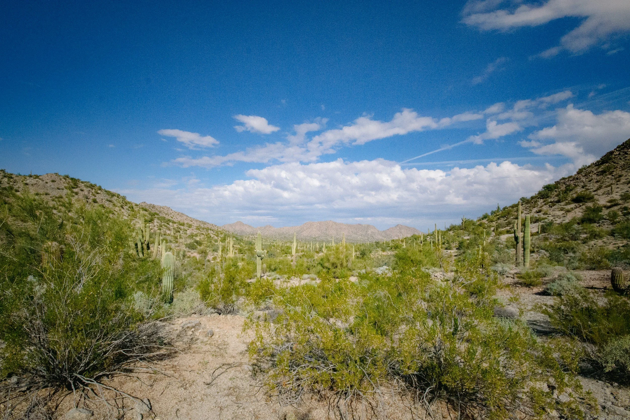 A Chinese Company Aims To Destroy Sacred Land In Arizona: Why It Must Be Protected