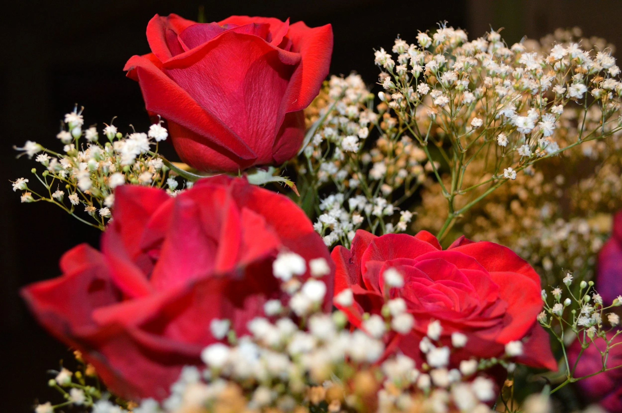 Hindu Moral Panic And The Policing Of Valentine’s Day In India