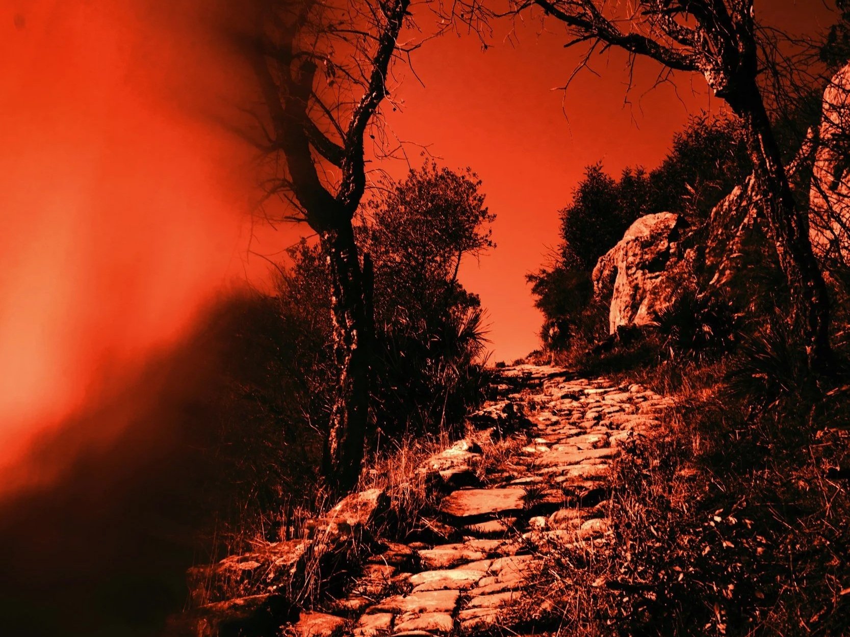 ‘Calendar And Cosmos Rhyme’: Dante’s Easter Hell Through Sin And Salvation