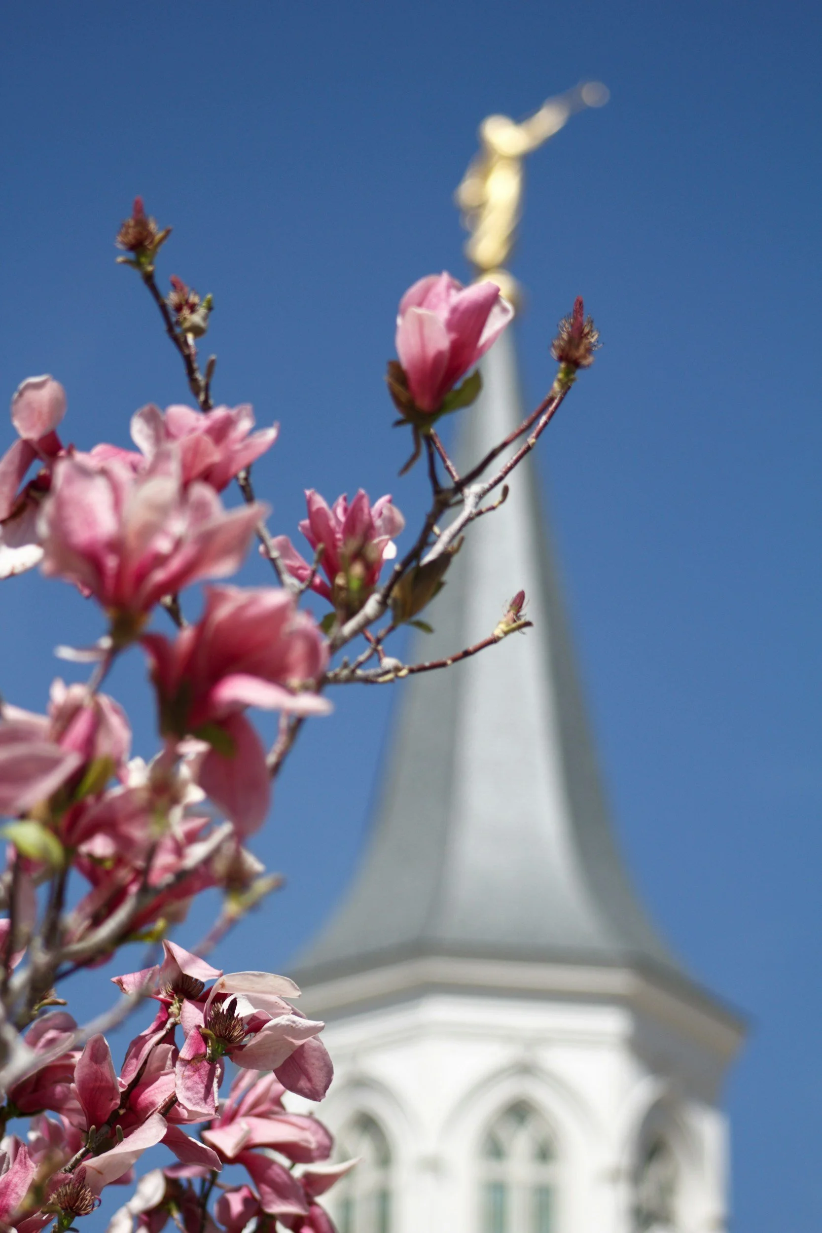 LDS Have Always Revered Religious Freedom — But Their Definition Has Evolved 