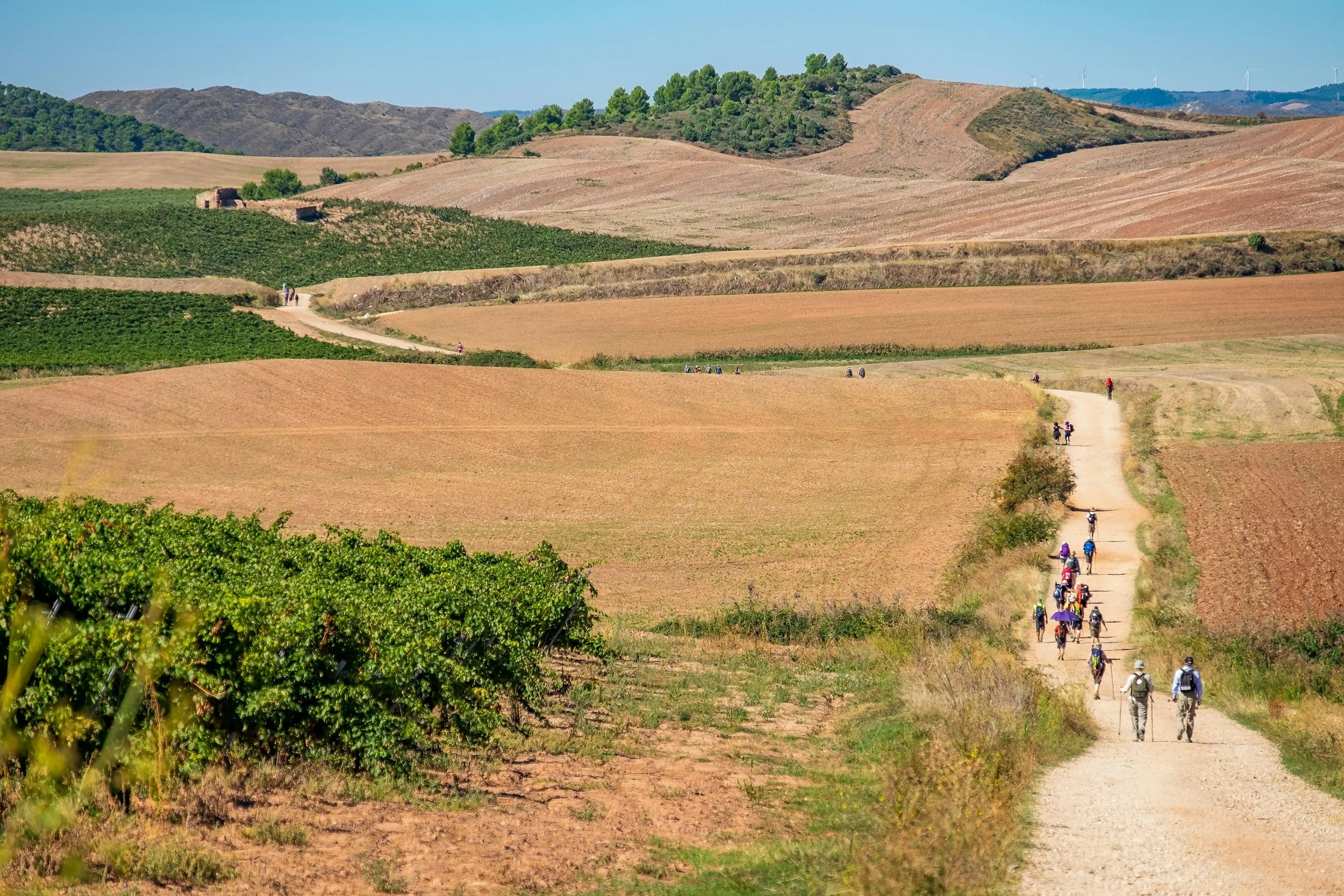 Camino De Santiago Attracts 500,000 Visitors A Year, But Climate Change Threatening The Tradition
