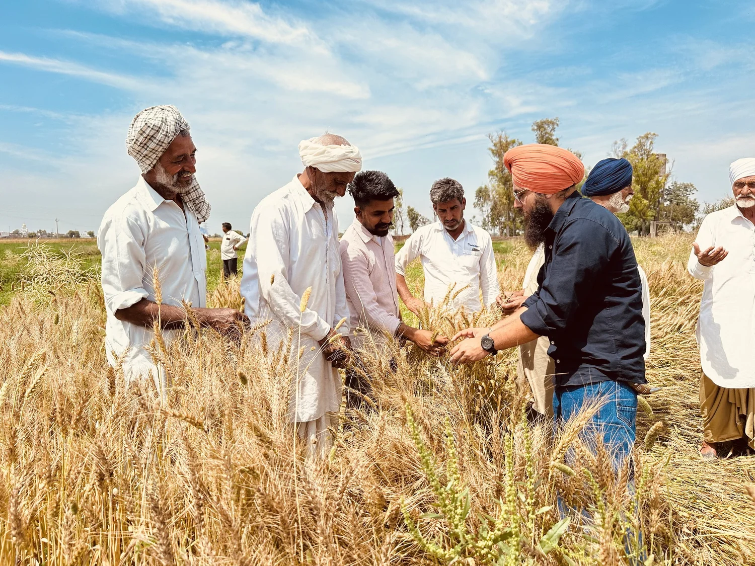 Gurdwaras Help Tackle India’s Environmental And Agriculture Crises