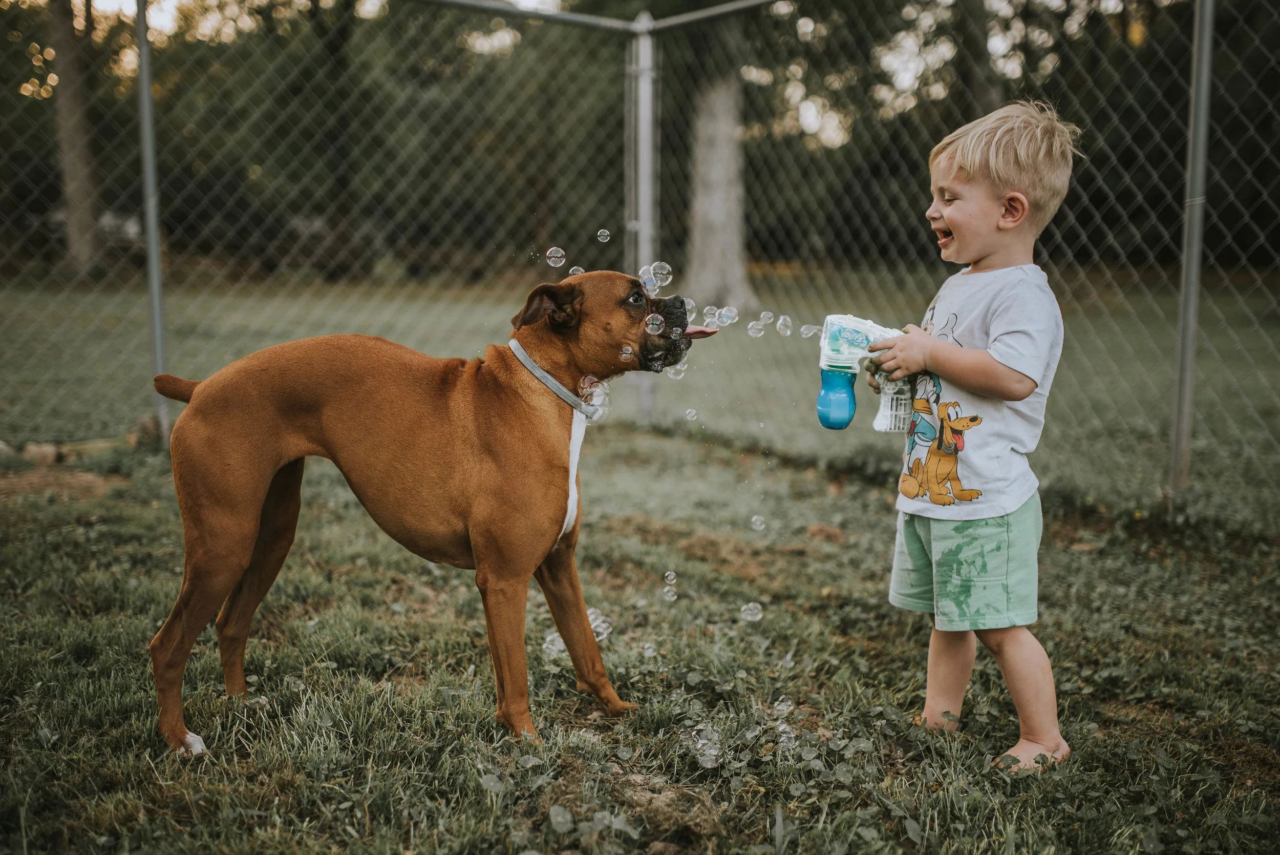 bubbles2 (1 of 1).jpg