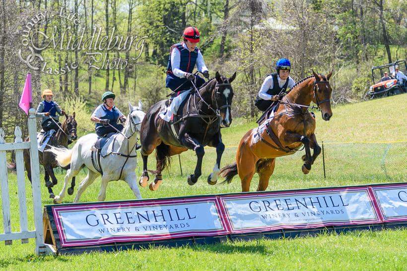 L-->R: Always Elegant/Dillyn Ketterman Millnick; Patrick/Sarah O'Halloran; In Todd We Trust/Devon Zebrovious; Fort Henry/Stephanie Dowling
