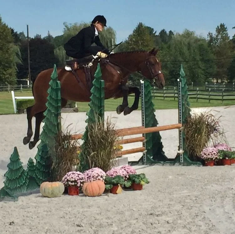 Rider : Amy Jo Magee Hometown : Coatesville, PA Horse : "Little Lady" (Lady) – 11 yr old, reg. Hanoverian mare (Landoenig x Lemon Park). I bred Lady, and I still have her dam on my farm. Amy’s Background : I have competed in the 1.25m jumpers, evented through training level, and was the 2017 USEF National Ladies Side Saddle Reserve Champion (also on Lady). I am a registered nurse whose specialty is emergency medicine (with a focus on pediatrics). I am also a mother to two children, aged 7 and 9, and caretaker of our 13-acre farm, and a school nurse for a large, grades K-12, charter school. I have been riding sidesaddle for over 25 years, and it is my preferred way of riding due to an accident many years ago where I broke my back, pelvis, and left hip. What is your racing experience, side saddle or otherwise? : I have been sidesaddle racing since the Cheshire point to point in 2016. Do you fox hunt? Do you hunt aside? : Yes, I am a member of Kimberton Hunt (PA), and I also like to cap with other hunts as much as possible. I have only hunted astride once (my first time out), and after that I only hunt aside. What got you interested in racing aside? : I love to do anything sidesaddle and I love galloping over these beautiful race courses. What are your side saddle goals for 2018? : My biggest sidesaddle goal this year is to show aside in a National Hunter Derby at one of the USEF shows
