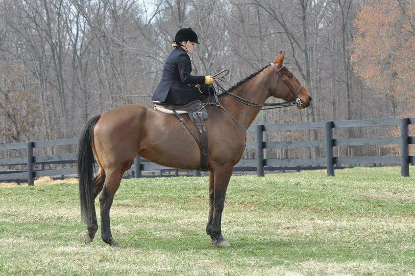 Rider : Maggie Johnston Hometown : Middleburg, VA Horse : I'm so lucky to have ridden so many horses in SSCF events including Cattywampus, Riot's Maeve, Paddy Mac, Beulah (owned by Marcie Michael) and Zahara (owned by Tania Woerner). Before the SSCF was founded, I rode several horses aside include IdleHour Savanna (pictured), Skye, Theodore and Connor. They are all very different, which I love: a TB, an Irish Sporthorse, several draft crosses and two part bred Cleveland Bays. Maggie's Background : I work at BCT Bank in Middleburg, VA as a teller & customer service representative. I've ridden aside for more than 10 years and have ridden since I was 4, so almost 55 years :) What is your racing experience, side saddle or otherwise?: I raced in the flat races at Oatlands at our first race. I love to hunt and hunter pace. I've shown in and around Loudoun County VA and in Maryland including at The Upperville Horse & Colt Show. I've also show at The Aiken Show in The Hitchcock Woods, which I think is the most elegant show venue in the Country. I've also given demonstration rides in Lexington KY. Do you fox hunt? Do you hunt aside? : I do hunt and I love to hunt aside! The day I was awarded my colors with the Snickersville Hounds (VA), I was riding aside on Skye which was a very special day. I hunt in Virginia, Maryland, South Carolina, New York and have hunted in Ireland and France. My future fox hunting goals include hosting a first-ever drag hunt in Virginia. What got you interested in racing/foxhunting/hunter pacing aside? : During our trip to Ireland to hunt with County Meath, and to set a world record for the largest group of women hunting aside, Devon and I learned about the Dianas of the Chase race. We thought that it would be wonderful to hold a side saddle race in the US, so we set out to hold a first-race in Loudoun County, VA. From there it's grown to what is now a Foundation and seven scheduled races this year plus clinics, hunts and a gala. We've added awards for riders who hunt and hunter pace aside and award our riders at the National Sporting Library & Museum in Middleburg VA. As we say "it's a return to elegance" and anyone watching our riders at the point to point races, at hunts and at hunter paces always remark at how wonderful it is to have riders upholding a traditional way of riding. What are your side saddle goals for 2018? : I would like to grow the hunter pace and hunting division of our Foundation. There are so many riders who ride aside but have not yet hunted or hunter paced aside. Both help to financially support hunting, as does point to point races, so introducing riders to the sport of fox chasing will help hunt clubs grow. There are several exciting sidesaddle events being hosted in and around Middleburg and the Foundation is honored to be included.