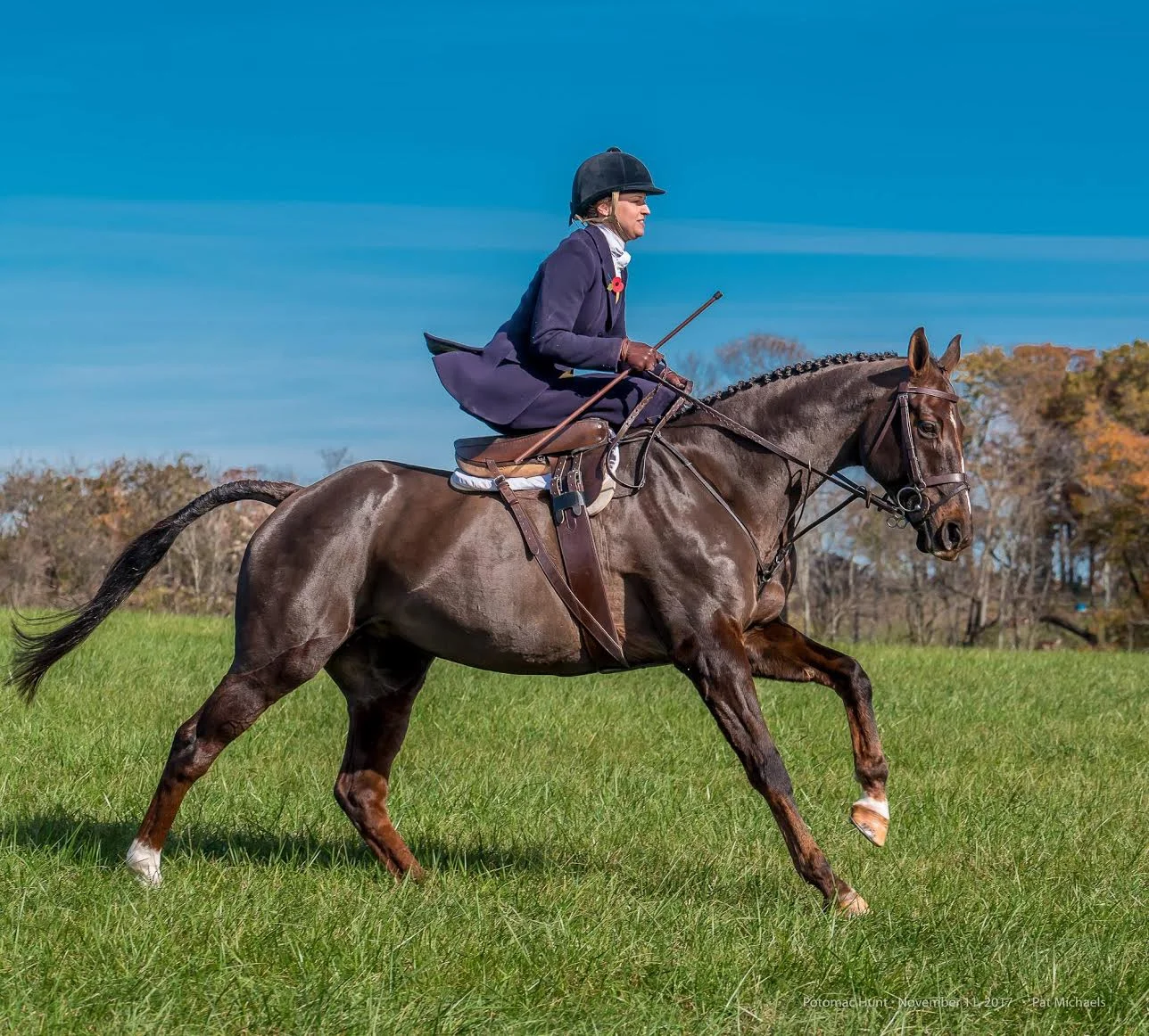 Rider : Lisa Havilland Hometown : Poolesville, MD Horse : “Teceanna” (Anna) - 15 yr old, 16.2 hand, liver chestnut, Dutch Warmblood mare. Anna has hunted on and off since she was four, and has evented through Training Level. Lisa's Background : I am a litigation attorney specializing in international family law. I have ridden for 30 years (since I was about 7), beginning in Hunters and Equitation. I competed nationally in the IHSA and IDA while attending Wilson College, where I received my undergraduate degree in Equine Management. I began fox hunting with Casanova Hunt in Virginia in 2004, and started Eventing upon my return to Maryland in 2007. In 2013, I began hunting with Potomac Hunt in Poolesville, Maryland. I have been riding side saddle for a little over a year, and regularly hunted aside through the 2017-2018 hunt season. I live and keep my horses in Poolesville, Maryland, and I also enjoy training and re-schooling problem horses and bringing along young horses. What is your racing experience, side saddle or otherwise? : I currently have no racing experience, but plan to race aside this spring and summer with the SSCF for the first time! Do you fox hunt? Do you hunt aside? : I am currently a member of the Potomac Hunt in Maryland, but got my start hunting with Casanova Hunt in Virginia in 2004. I have also hunted with many other hunts in MD and VA, and hope to hunt in Ireland one day. I began hunting aside in 2017, and now prefer to hunt sideways whenever possible, as I find it much more enjoyable and challenging. What got you interested in racing aside? : Last year, when I was considering learning to ride aside, I attended a SSCF assessment with Jill Howson in Middleburg, VA. At the time, I thought racing side saddle was a bit crazy, but after hunting aside all season, I am now determined to give it a try! What are your side saddle goals for 2018? : I just completed the 2017-2018 hunting season, and I hope to to compete in at least one of the 2018 SSCF races this spring. As an eventer, I plan to compete in at least one event this summer aside. I also hope to show in the Ladies Side Saddle division over the summer, and can’t wait to start hunting again in the fall! I am actively looking for a younger side saddle mount (preferably a mare), 16.3 hands or larger - so please keep your eyes peeled for me!