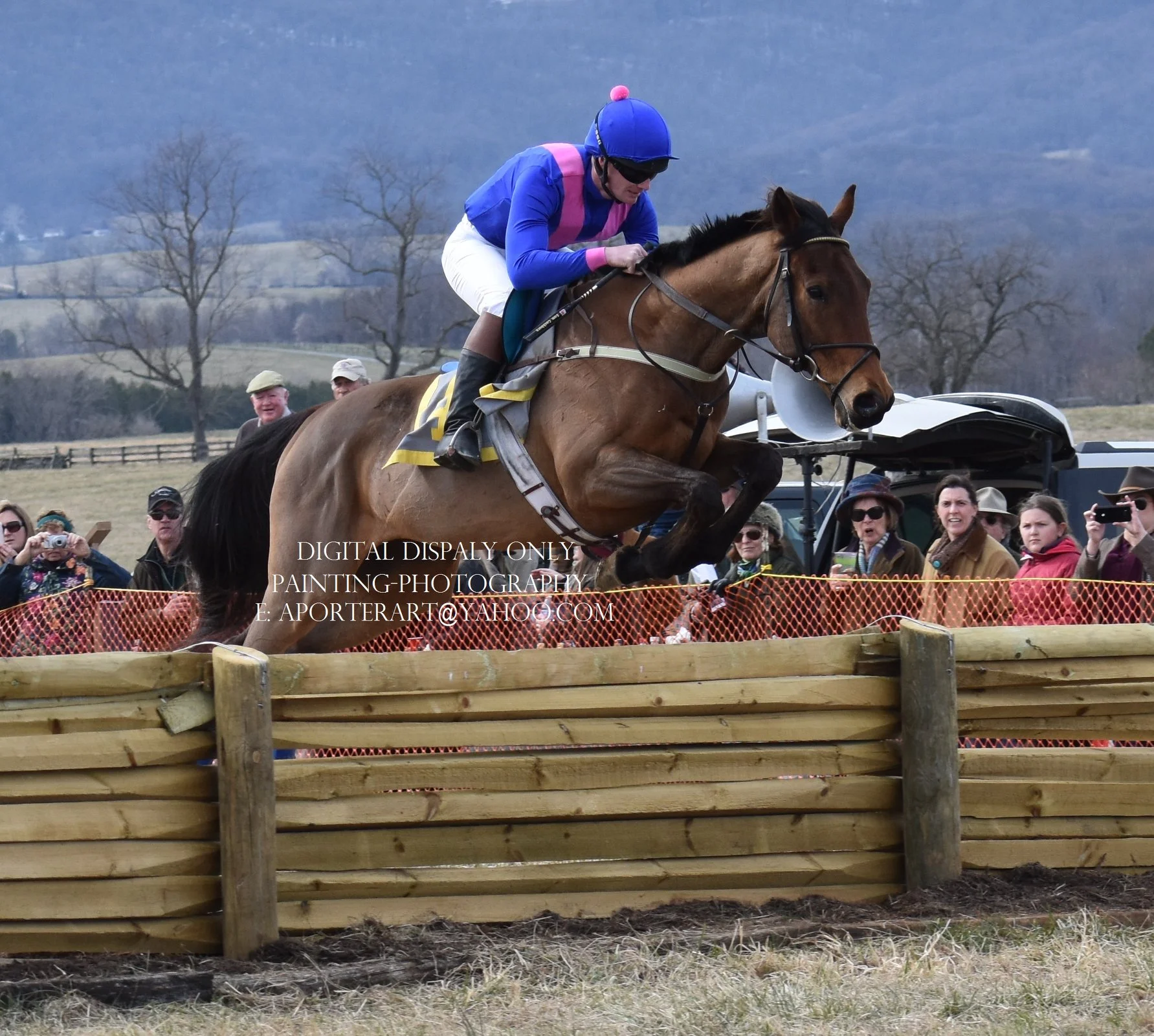Sam Cockburn at the Piedmont Foxhounds Point to Point, March 2018. Photo by Alice Porter.