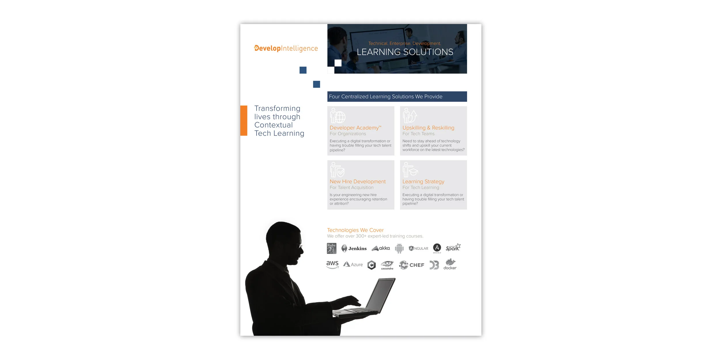 Web_Samples_Develop_Intelligence_1 copy.jpg