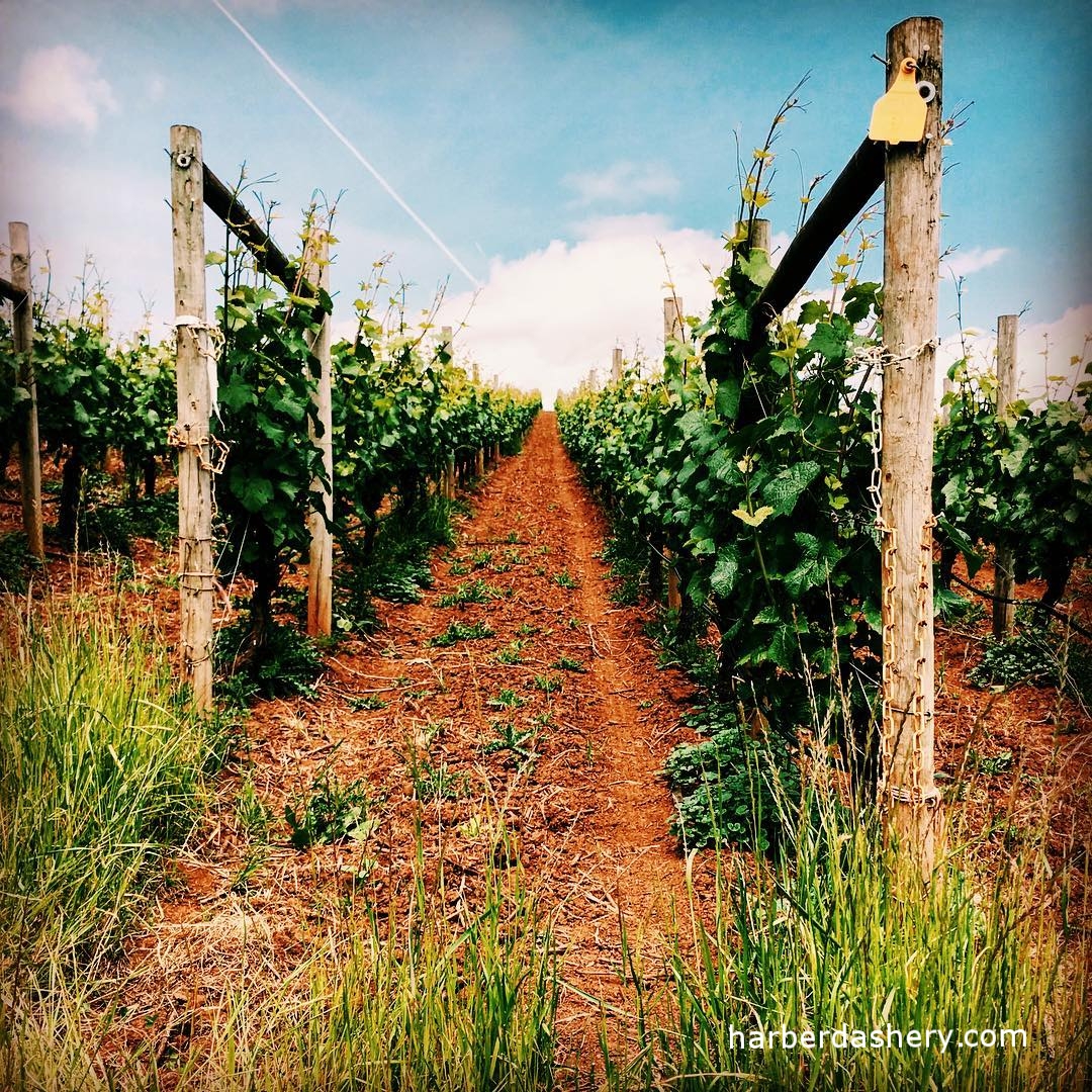 An Oregon Winery